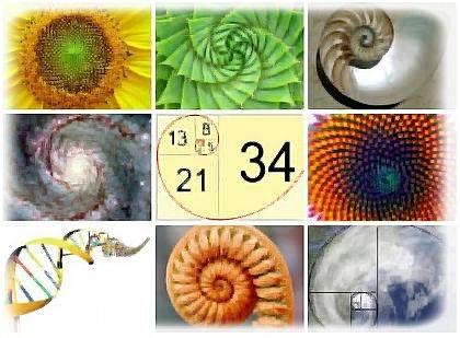 La lógica matemática detrás de la estrategia Fibonacci